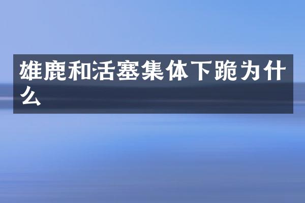 雄鹿和活塞集体下跪为什么