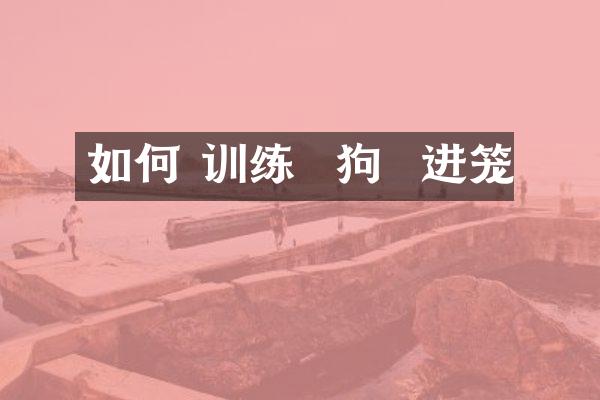 如何 训练  狗  进笼