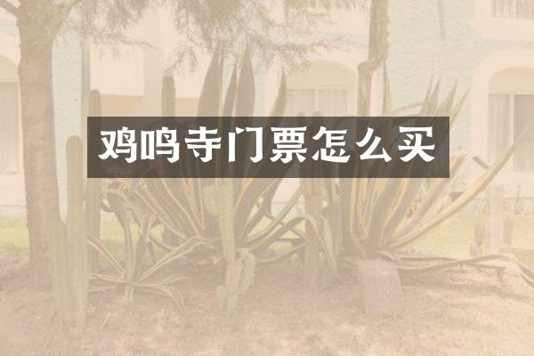 鸡鸣寺门票怎么买