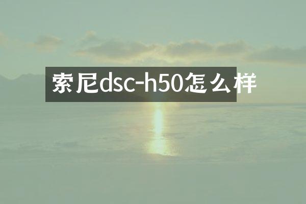 dsc-h50怎么样