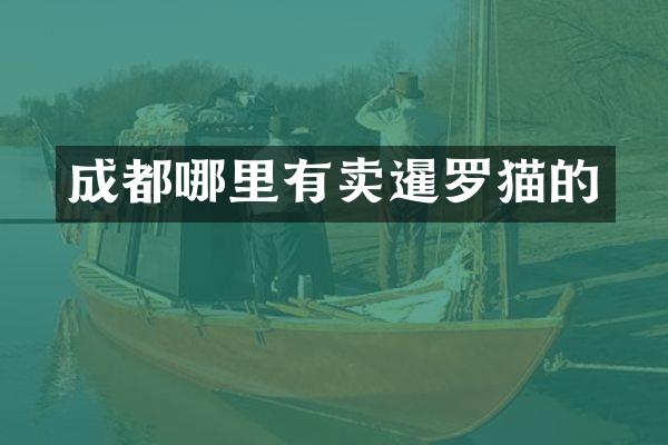 成都哪里有卖暹罗猫的