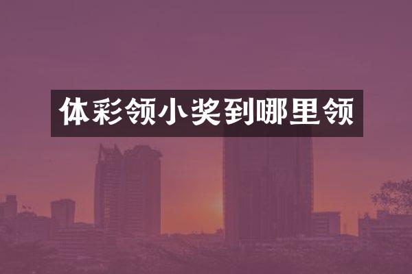 体彩领小奖到哪里领