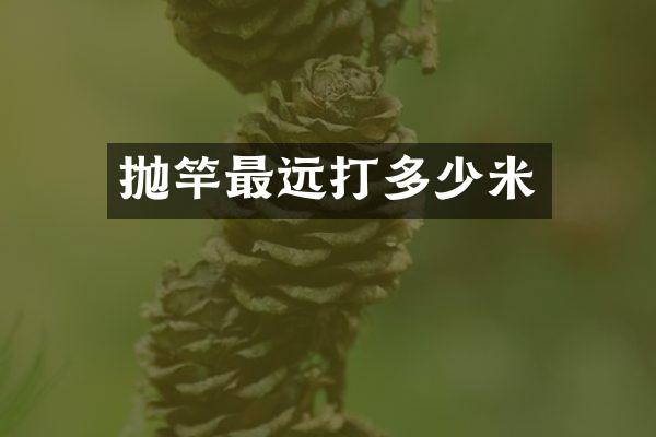 抛竿最远打多少米