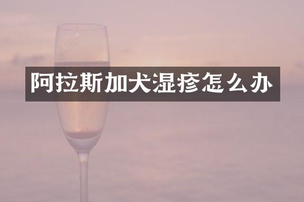 阿拉斯加犬湿疹怎么办