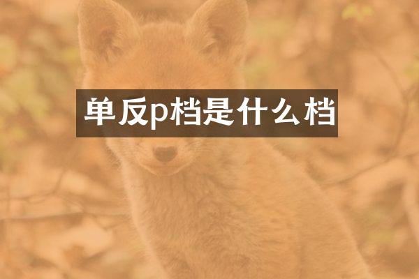 单反p档是什么档