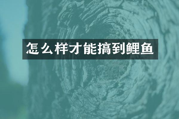 怎么样才能搞到鲤鱼