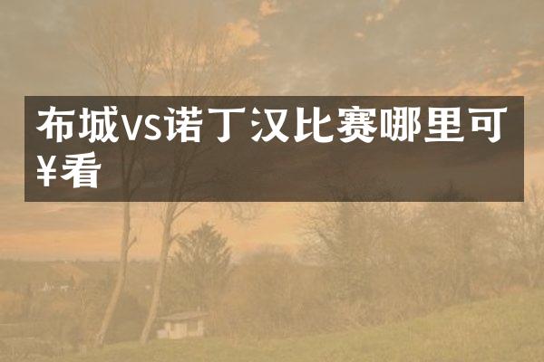 布城vs诺丁汉比赛哪里可以看