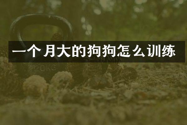 一个月大的狗狗怎么训练