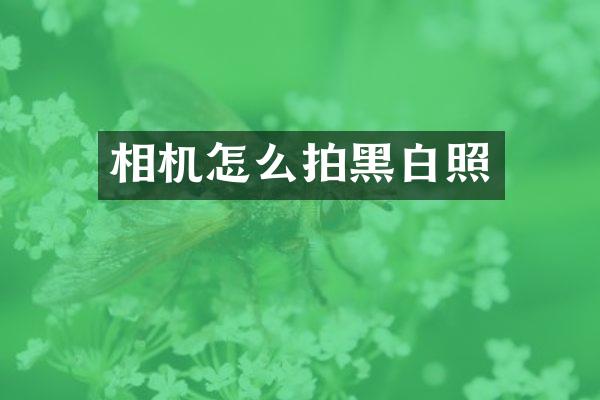 相机怎么拍黑白照