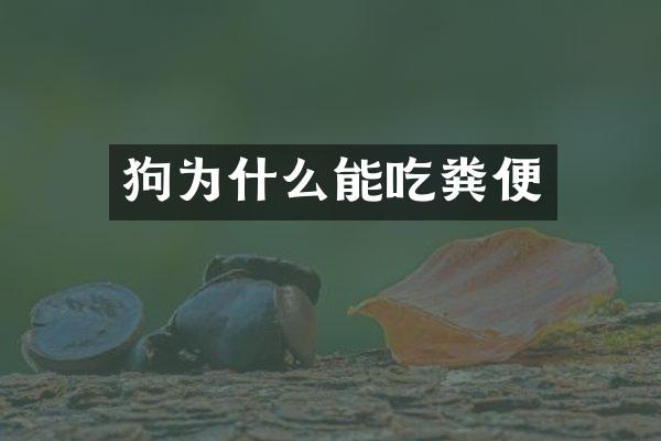 狗为什么能吃粪便