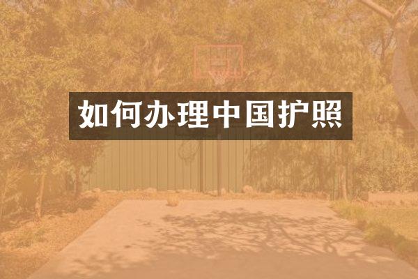 如何办理中国护照