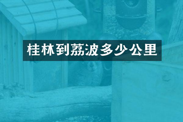 桂林到荔波多少公里