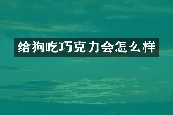 给狗吃巧克力会怎么样