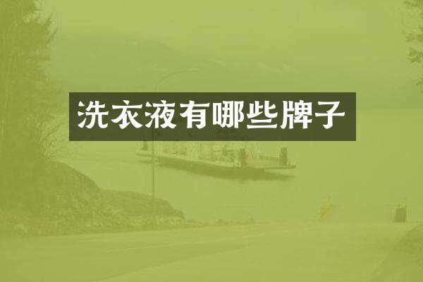 洗衣液有哪些牌子