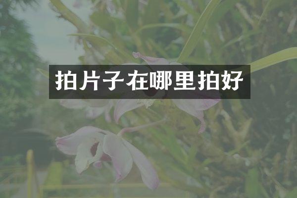 拍片子在哪里拍好