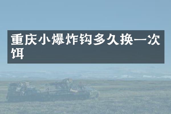重庆小爆炸钩多久换一次饵