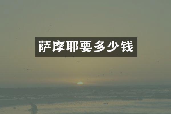 萨摩耶要多少钱