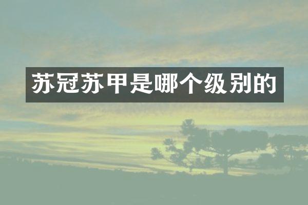 苏冠苏甲是哪个级别的