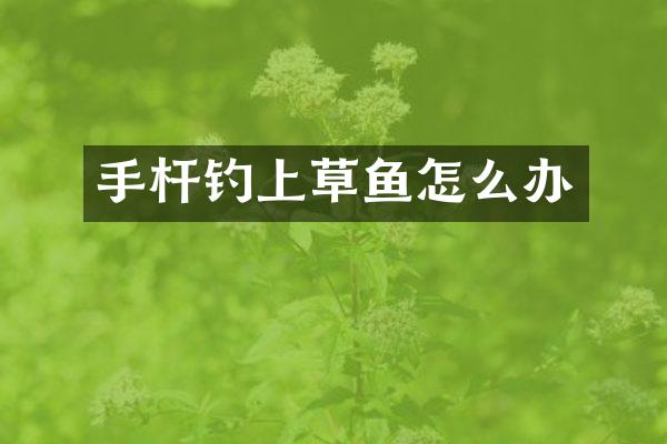 手杆钓上草鱼怎么办