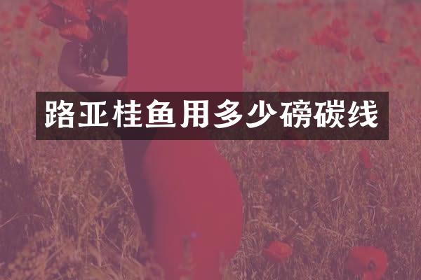 路亚桂鱼用多少磅碳线