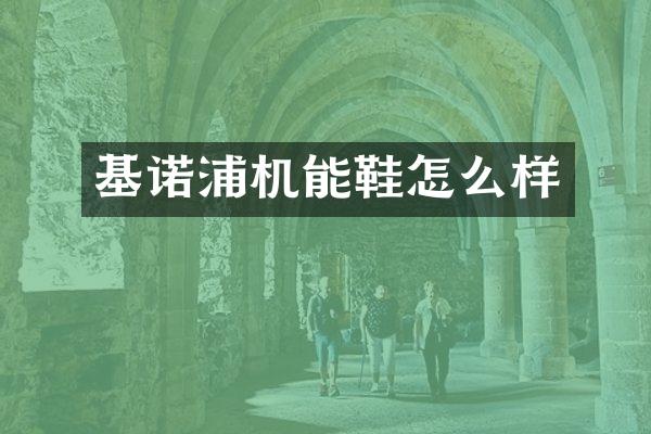 基诺浦机能鞋怎么样