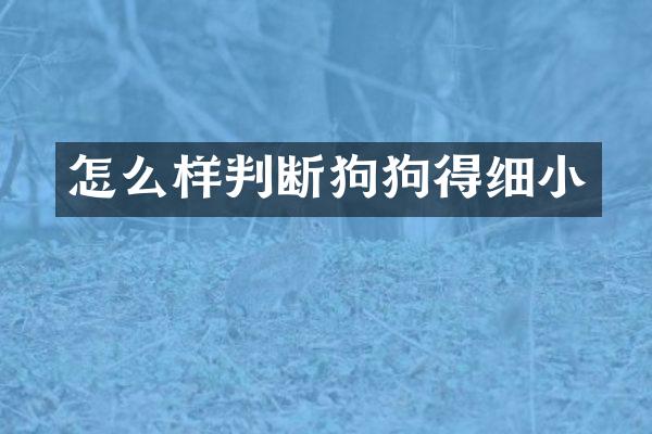怎么样判断狗狗得细小
