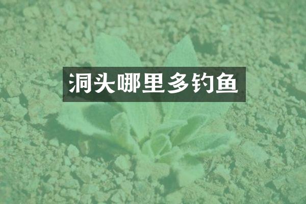 洞头哪里多钓鱼