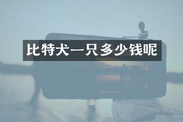 比特犬一只多少钱呢