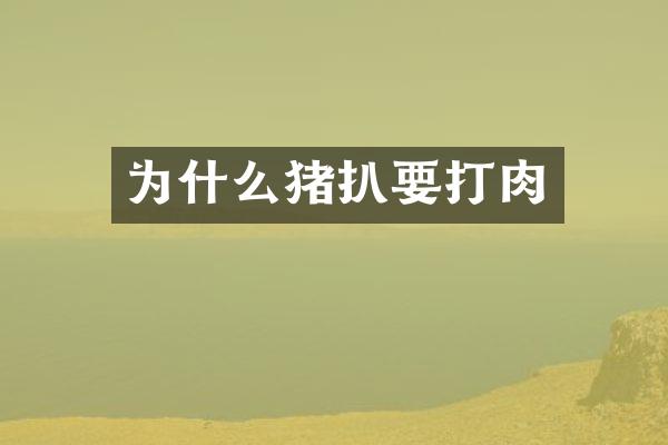 为什么猪扒要打肉