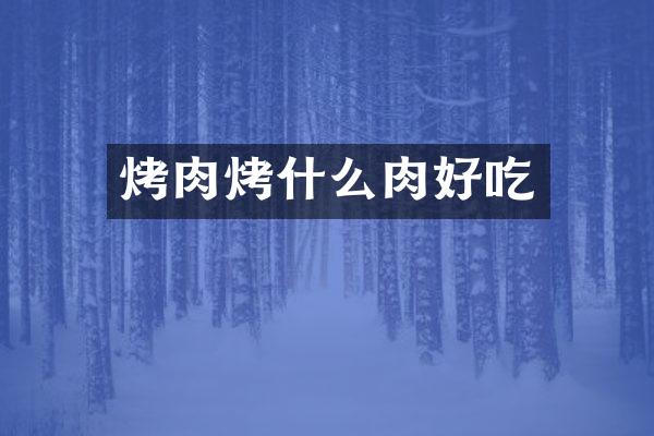 烤肉烤什么肉好吃