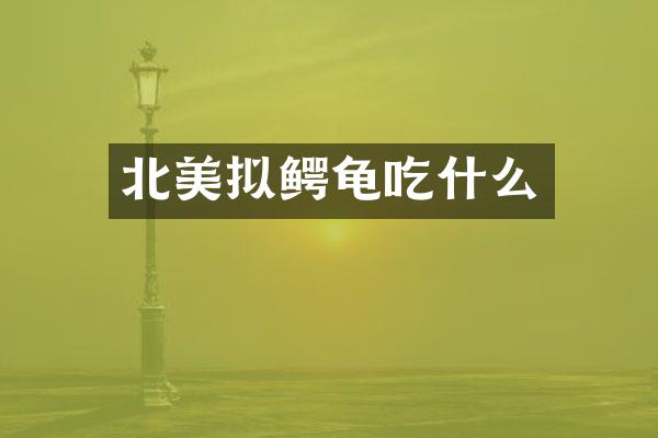 北美拟鳄龟吃什么