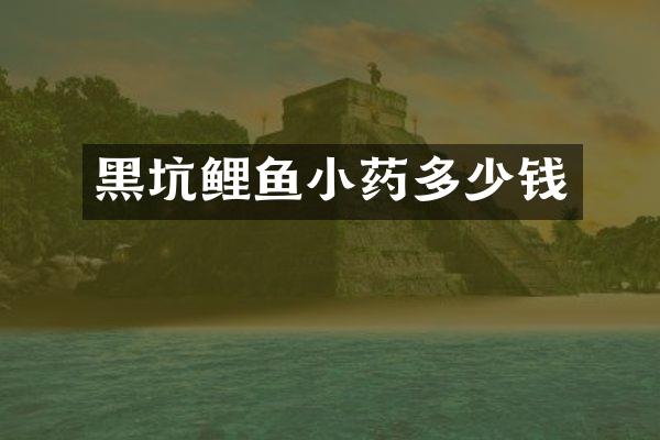 黑坑鲤鱼小药多少钱