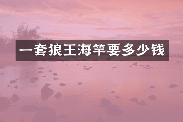 一套狼王海竿要多少钱