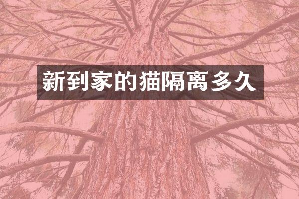 新到家的猫隔离多久