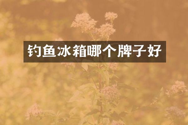 钓鱼冰箱哪个牌子好