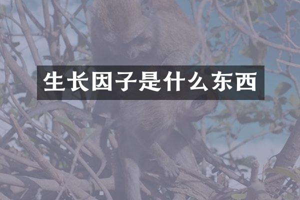 生长因子是什么东西