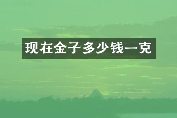 现在金子多少钱一克