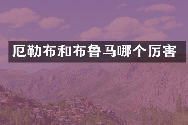 厄勒布和布鲁马哪个厉害