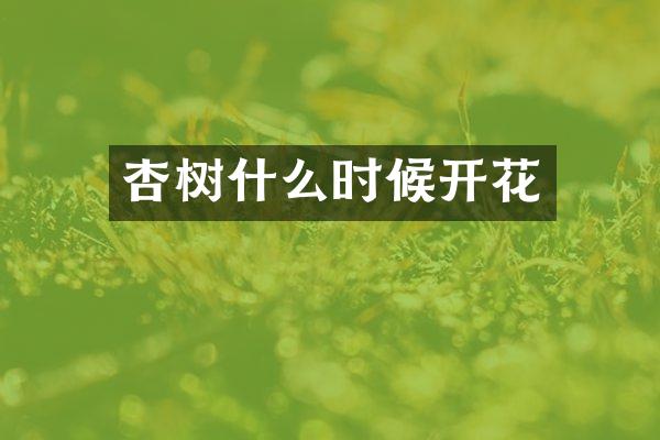 杏树什么时候开花