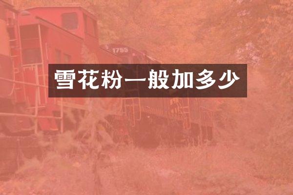 雪花粉一般加多少