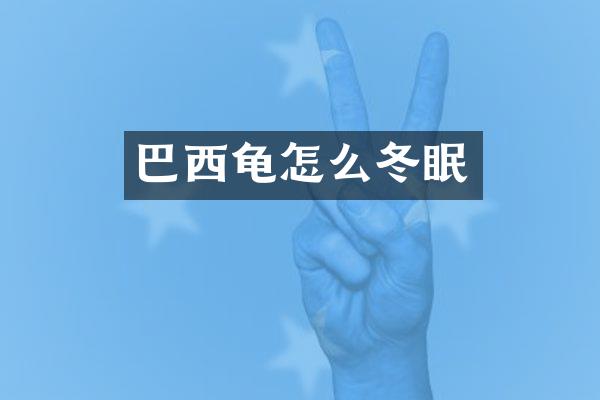 巴西龟怎么冬眠