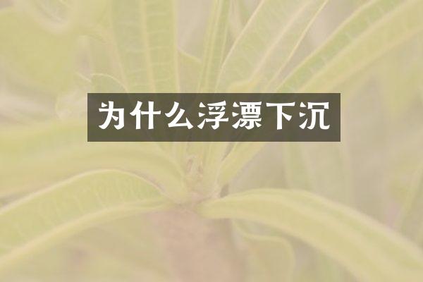 为什么浮漂下沉
