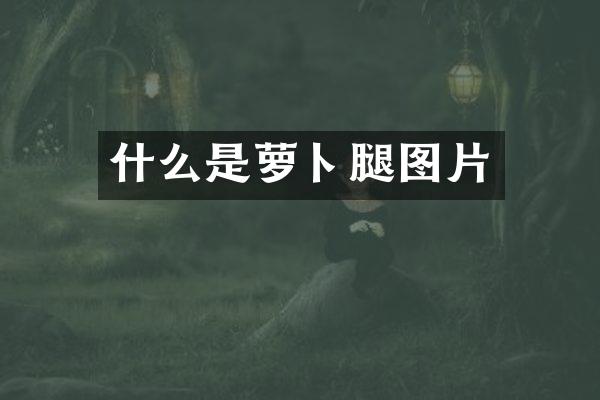 什么是萝卜腿图片
