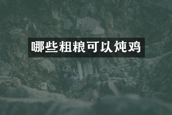 哪些粗粮可以炖鸡