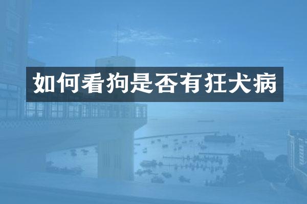 如何看狗是否有狂犬病