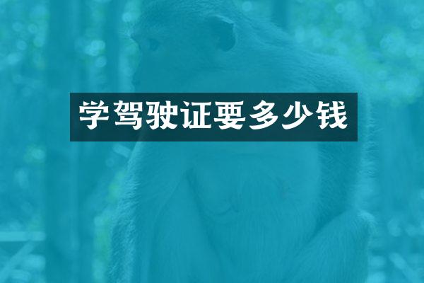 学驾驶证要多少钱