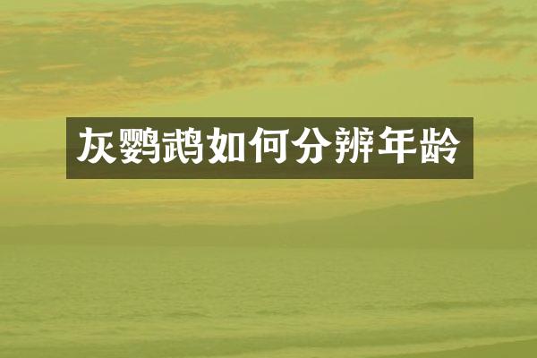 灰鹦鹉如何分辨年龄