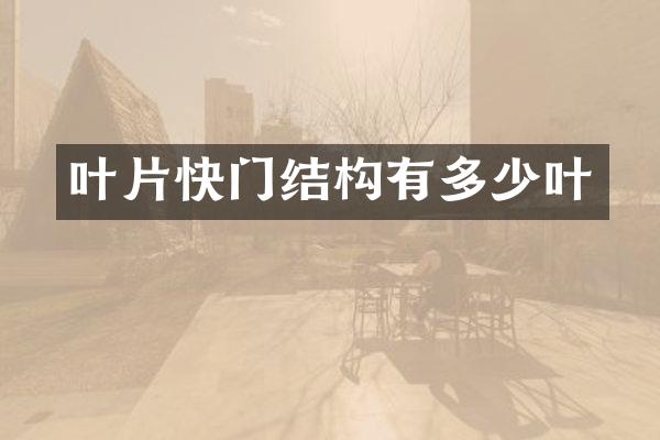 叶片快门结构有多少叶