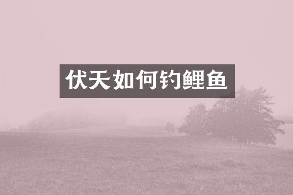 伏天如何钓鲤鱼