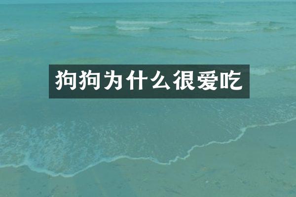 狗狗为什么很爱吃